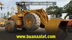 Sewa Wheel Loader Tulungagung